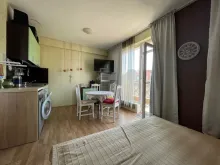 Miniaturka