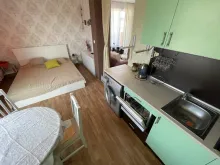 Miniaturka