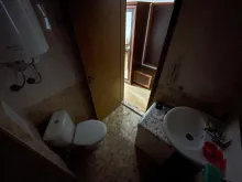 Miniaturka