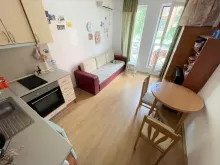 Miniaturka