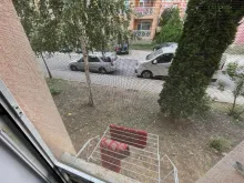 Miniaturka