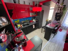Miniaturka