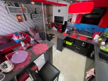 Miniaturka