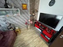 Miniaturka