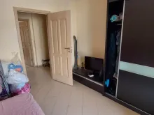 Miniaturka