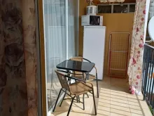 Miniaturka