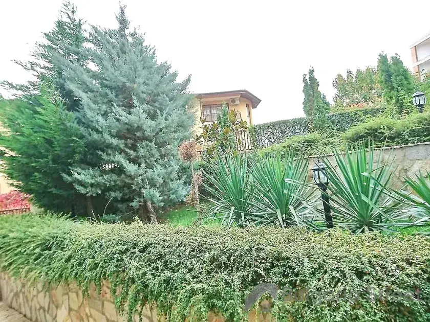 ogród