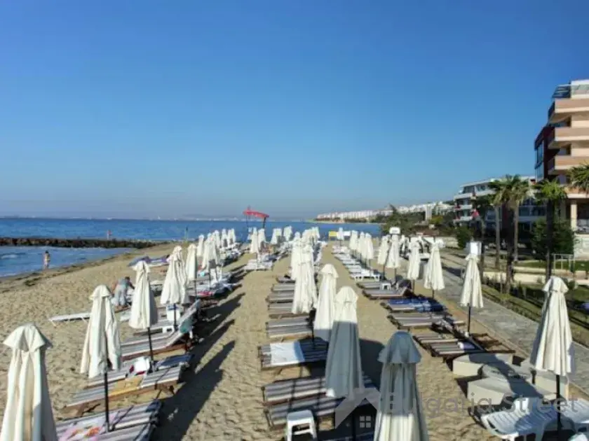 plaża. leżaki, parasole