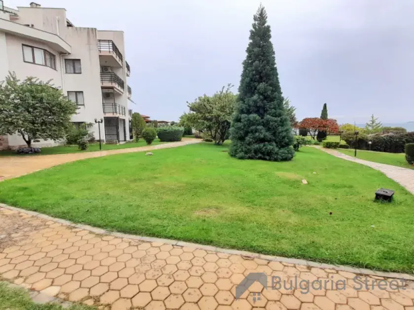 Widok na trawnik i morze