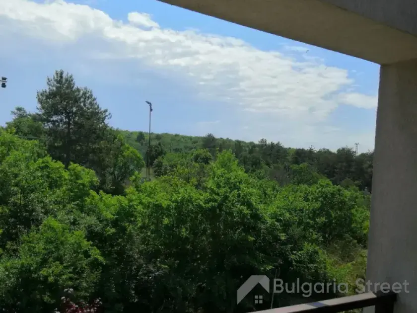 widok na las z tarasu