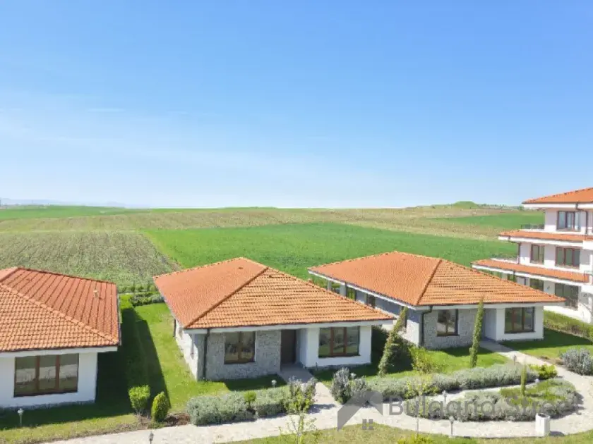 Vineyards Panorama